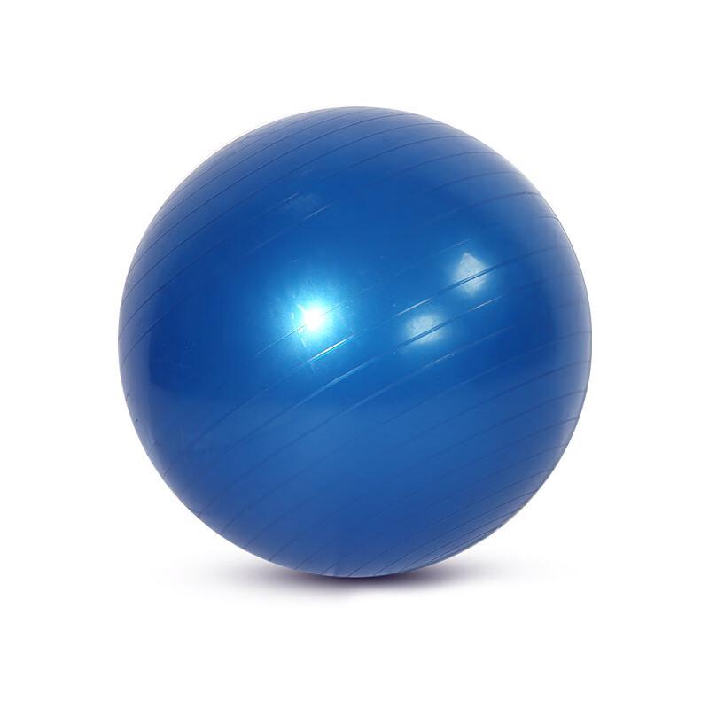 WEZHO 65cm Thickened PVC Yoga Fitness Ball
