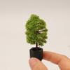 1/12 Scale Dollhouse Simulation Plant Potted Model Mini Home Decoration Micro Garden Landscape Ornaments for Dolls House