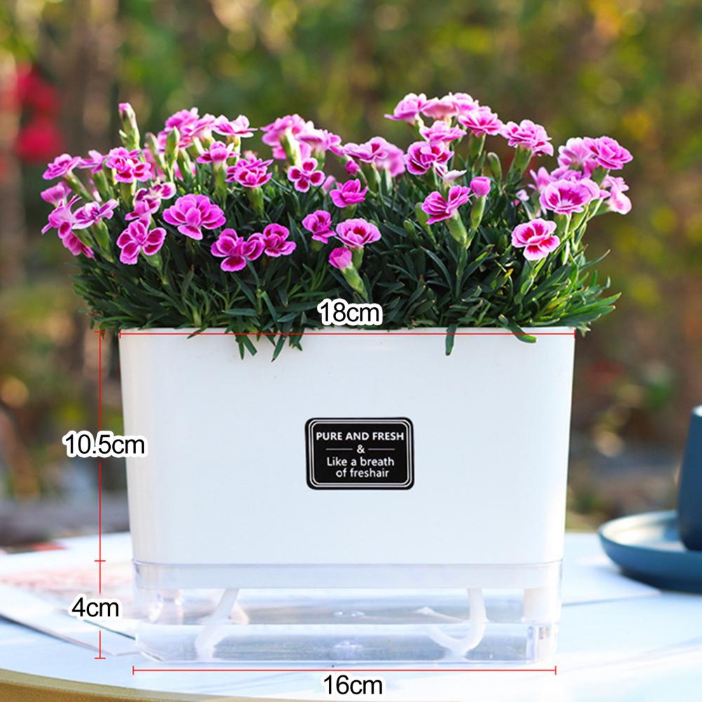 Self Watering Plant Pot With Drainage Holes High Strength Easy Care Visible Reservoir Indoor Outdoor Planter Pot Flower Vase