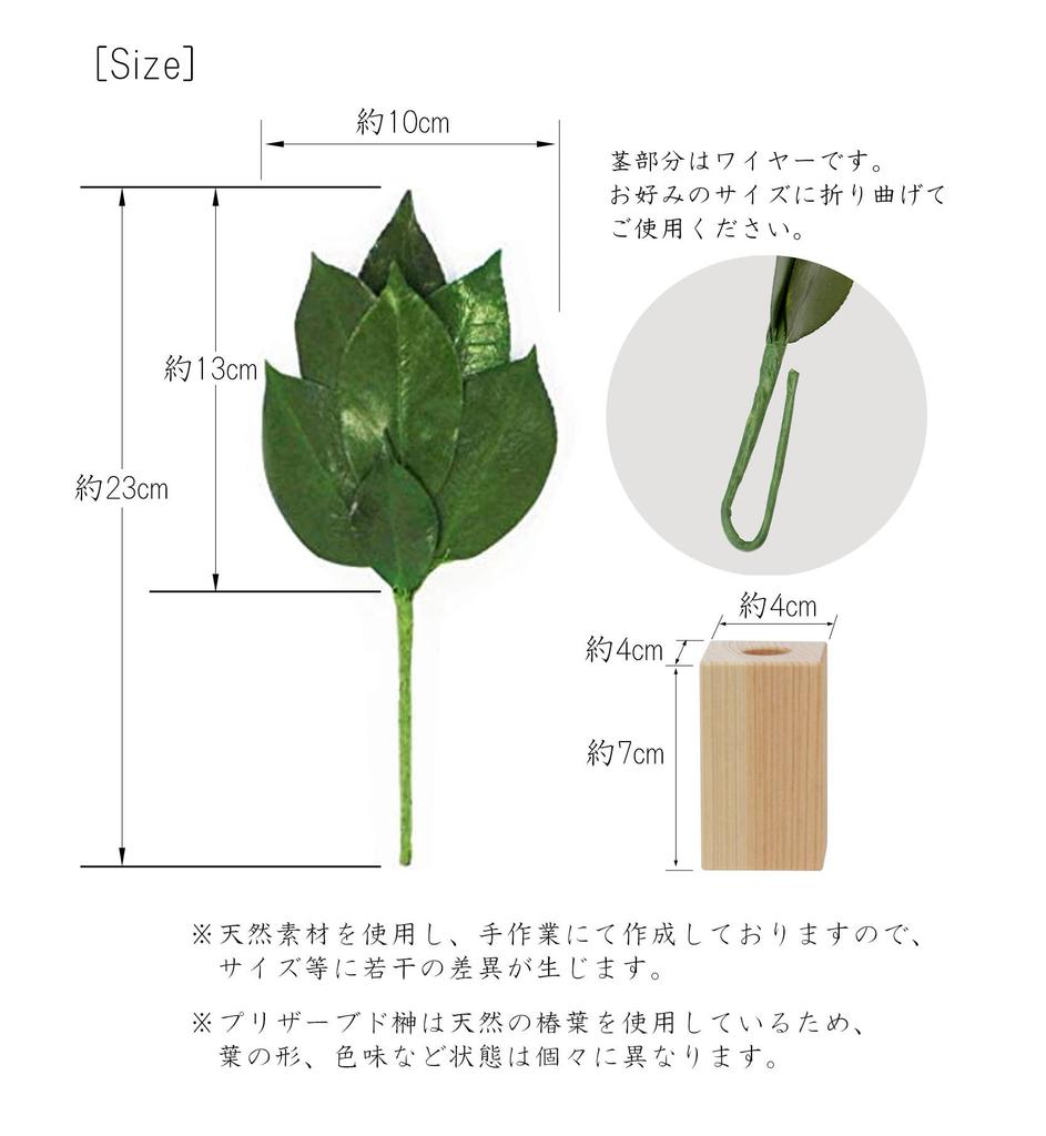 A&K Premium Preserved Sakaki Tree and Sakaki Stand Set (SS Size 1 Pair) Made with High-Quality Camellia Leaves, Perfect for Shinto Shrines and