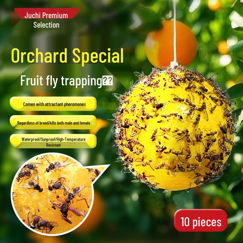 Insect Sticky Traps & Catchers