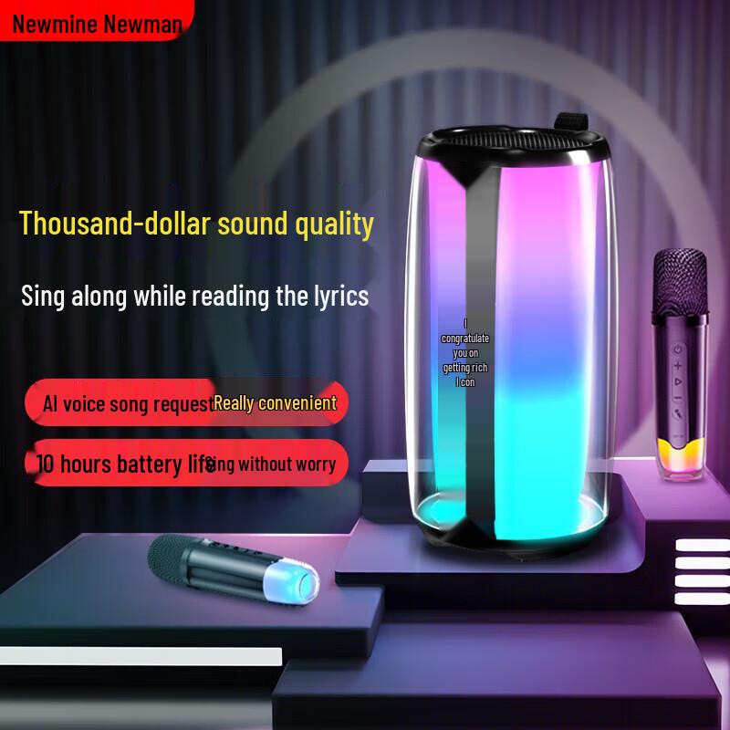 Newman K19 Portable Bluetooth KTV Speaker with Microphone