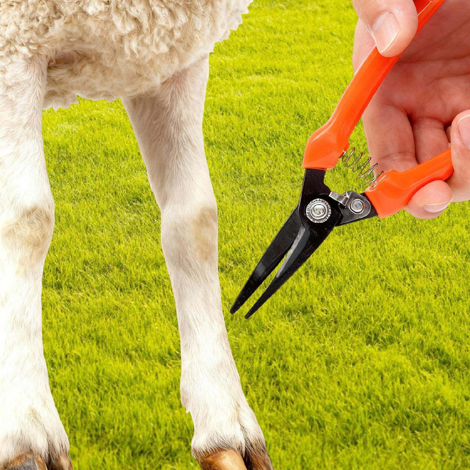 

Копытоотсекатель для коз с резиновой ручкой, кузнечные клещи для крупного рогатого скота, овец, лошадей