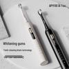 ApiYoo Electric Toothbrush TB-1 CN plug (adapter included)