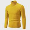 Autumn & Winter Casual Knitted Turtleneck Pullover Sweater