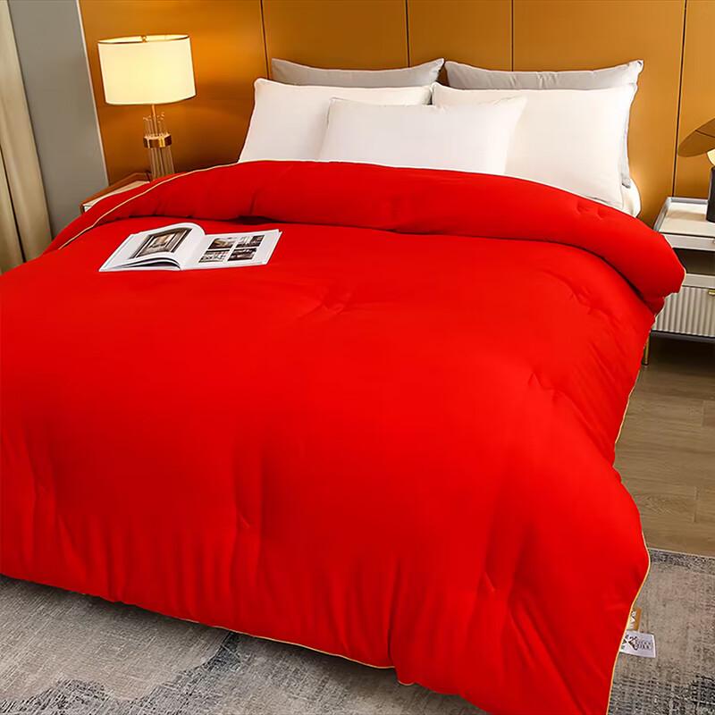 Fang Wang Skin-Friendly Breathable Soybean Fiber Quilt