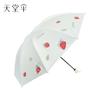 Heaven Umbrella Selection Triple Fold Sunny Umbrella 36302E Berry Good Time