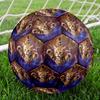 Galaxy Cat Dog Indoor Soccer Ball Size 5 Colorful All Ages Machine Stitched PVC Competition Ready Durable High-Bounce