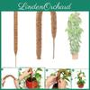 Pilar de Escalada para Plantas de Casca de Coco DIY Para Decoração Criativa de Plantas Comprimento 60-120cm