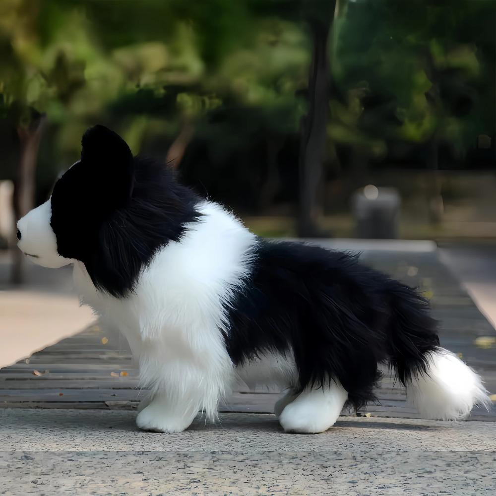 Peluche Cane Border Collie 30 cm Giocattolo di Peluche per Bambini Regalo Perfetto per Bambini e Bambine