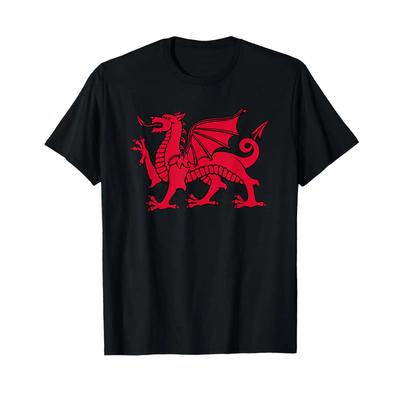 Welsh Red Dragon Flag Of Wales T Shirt Vintage Fashion Stretched Homme Soft Stylish Versatile Designer Clothes