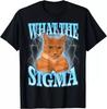 Maglietta unisex What The Sigma Meme Cat