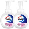 Moisturizing Foam Antibacterial Hand Soap Twin Pack