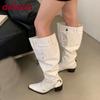 Fashion Fashion Buckle Women Knee High Western Boots With Heels Shoes Female Pointed Toe Footwear Modern Ladies Long Booties Pumps Shoes
