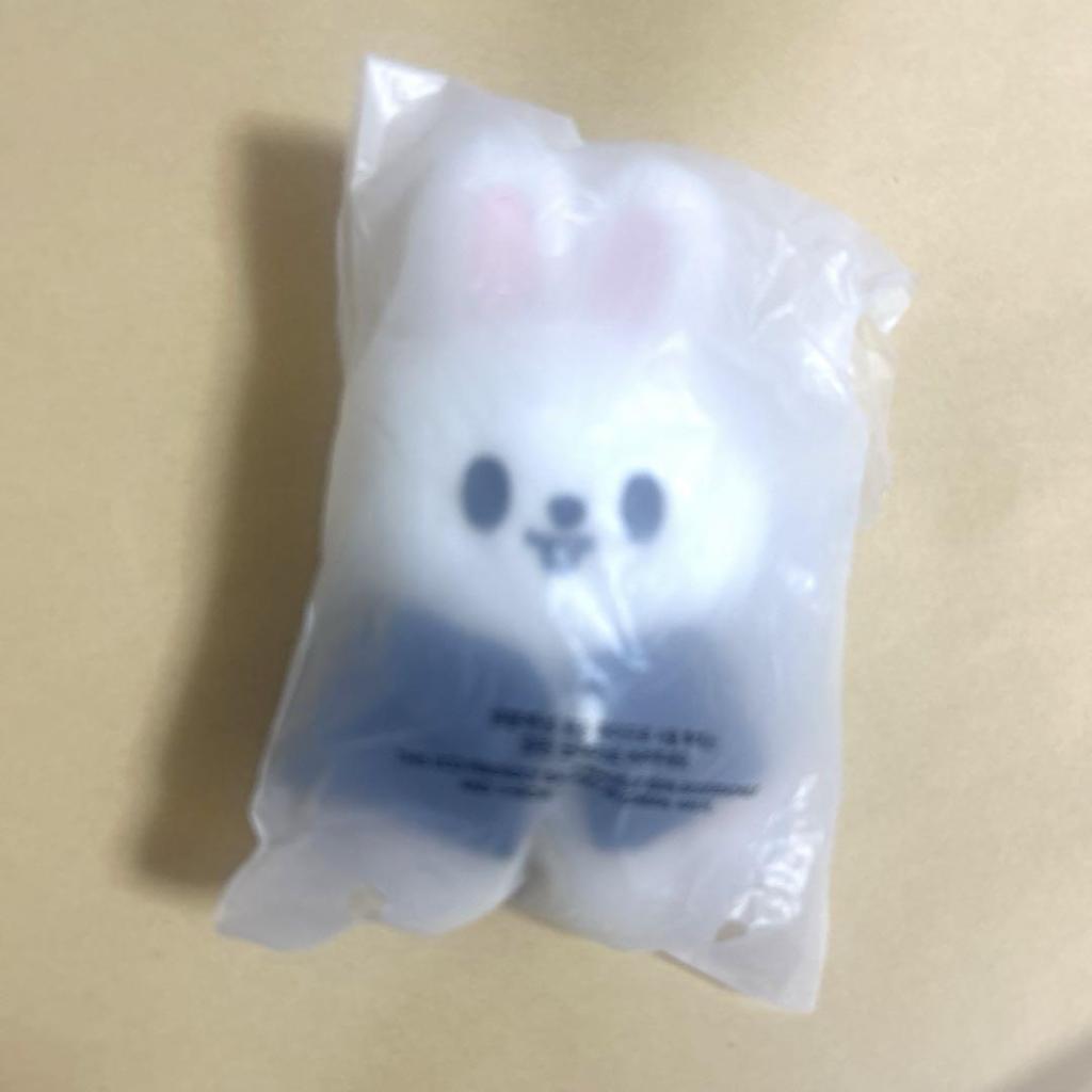 [USED] SKZOO 10cm Leebit Magic School Plush Toy