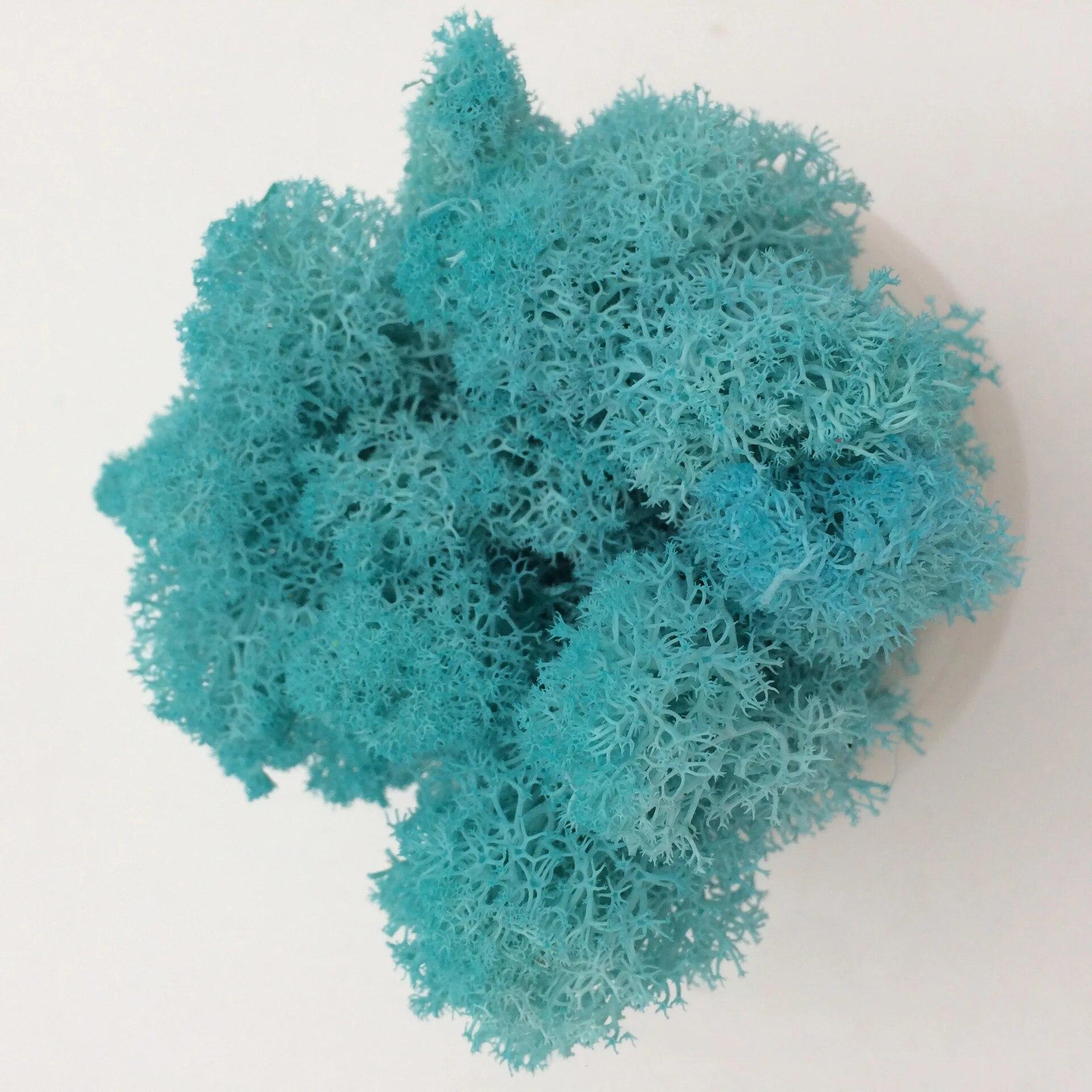 

Искусственные растения своими руками, консервированный мох, имитация поддельных растений, декор для сада, ландшафтный декор стен, украшения для дома, аксессуары, подарки 50g тиффани синий