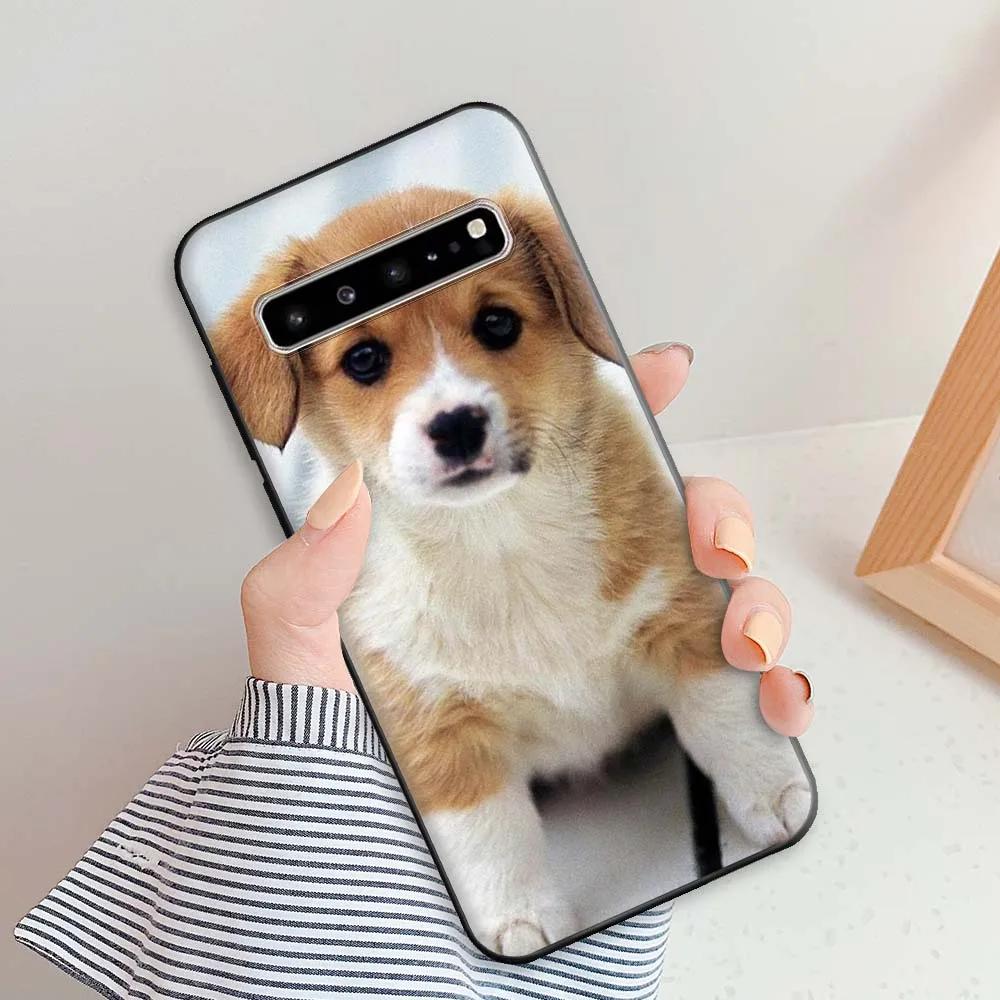 Para Samsung S10 Funda 5G Animal Lindo Cubierta Para Samsung Galaxy S10 Plus Suave TPU Silicona Funda de Teléfono Para SamsungS10 S10e S10 Lite