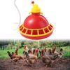 Automatic Poultry Water Dispenser Durable Fountaion Kettle Chicken Feeder  Quails