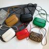 Simple and fashionable leopard print messenger bag for women 2025 summer new retro simple and fashionable foreign shoulder