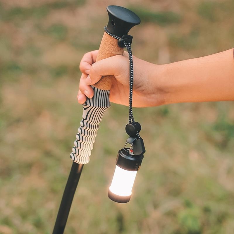 Pack of 10 Elastics Fastening Cord with Secure Clip Expandable Rope for Camping Shelter Stability and Outdoor Attachments