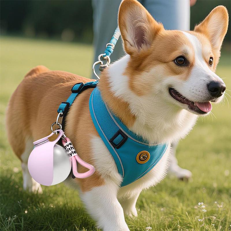 304 Stainless Steel Silicone Round Kettle 2-in-1 Portable Outdoor Water Cup Cute Round Puppy Water Cup Dog Accessories 2026