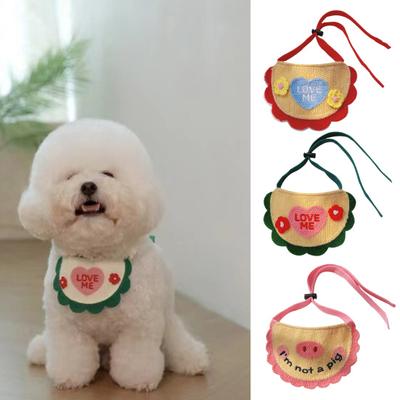 Abbigliamento e scarpe – Accessori per cani