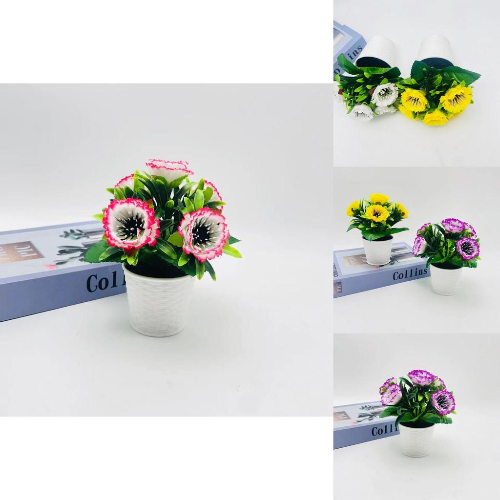 Peony Bloom Mini Potted Arrangement For Indoor Decor And Photo Studio