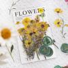 1PC A Beautiful Day PET Sticker Wrap Dried Flower Collection Series Fire Paint Dried Flower Notebook Decoration Material