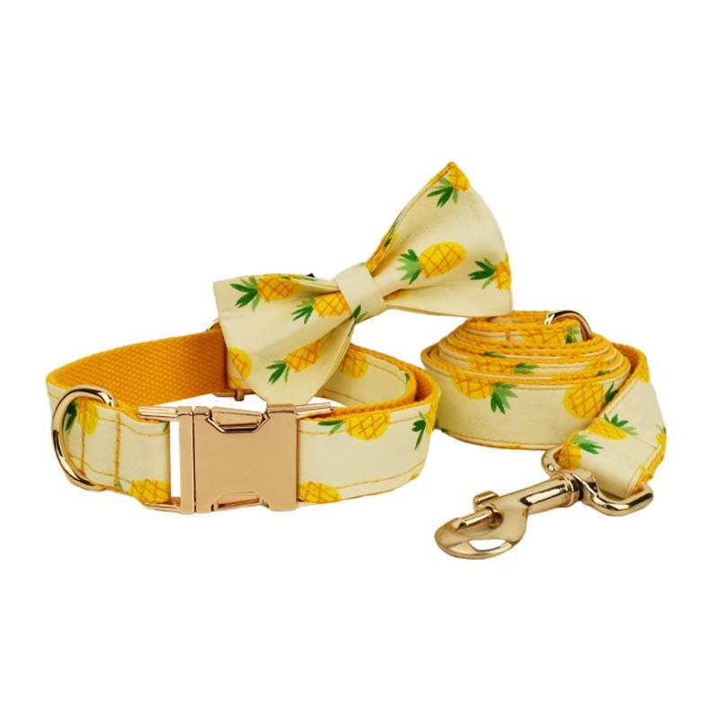 dog collar pet collar leash dog leash dog leash dog leash