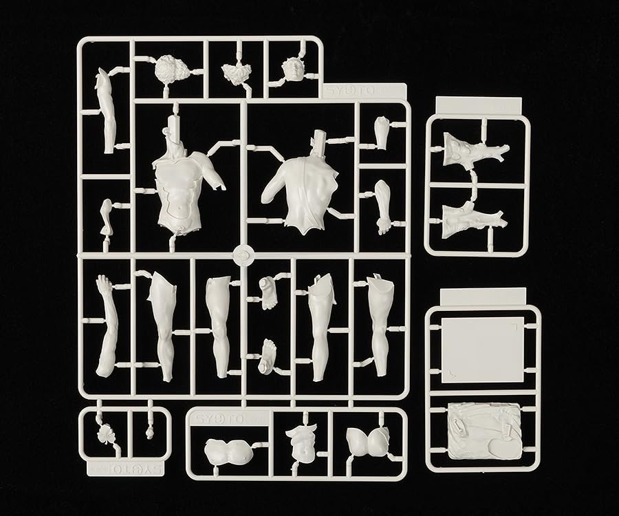 Statue of David Scale PS Assembled Plastic Model 1/35