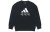 Sweatshirts Men's Black GM4446