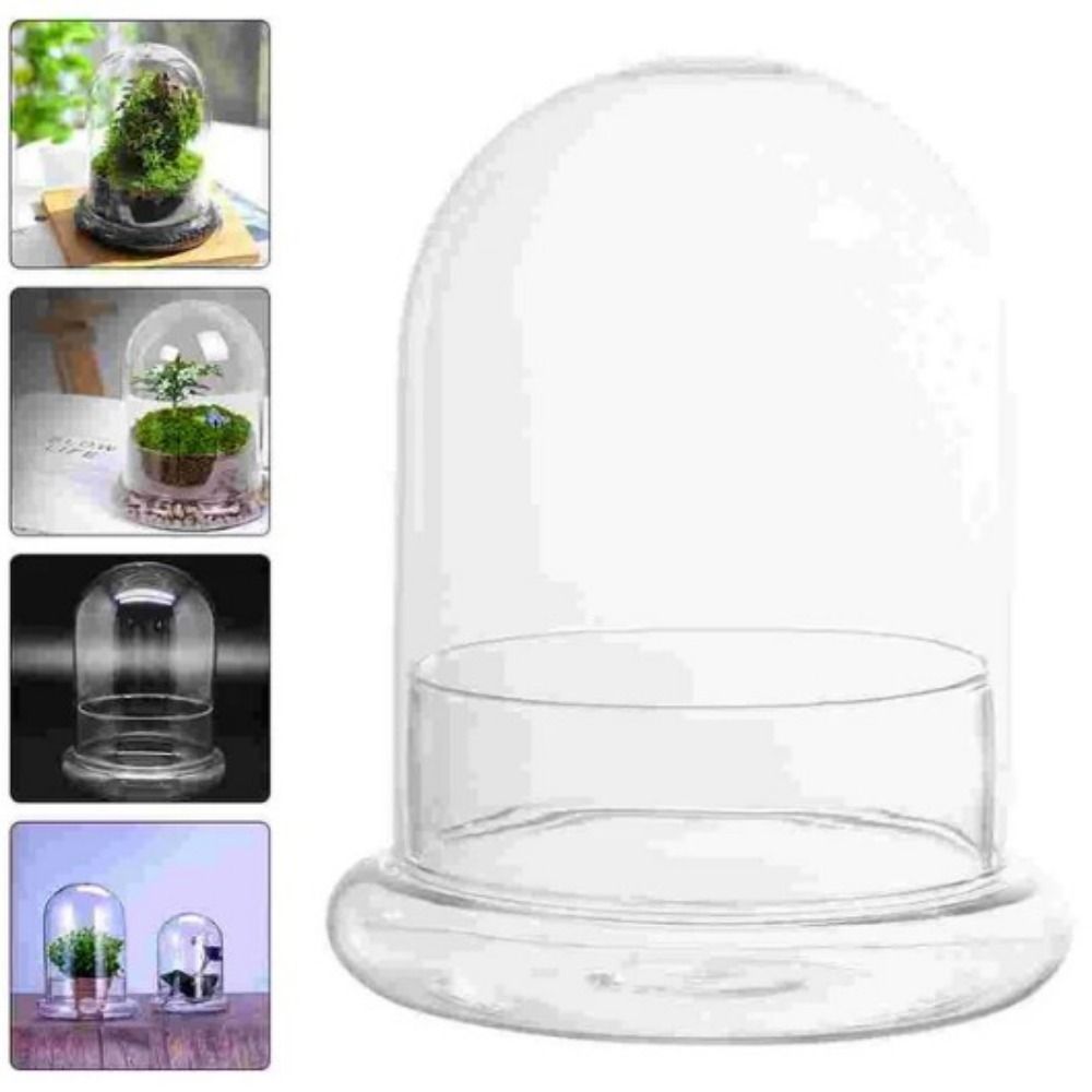Dust-proof Cylindrical Plant Vase Fresh-keeping Transparent Glass Cover Household