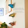 1/3/6Pcs 3D Butterfly Refrigerator Magnet DIY Home Office Kitchen Locker Fridge Realistic