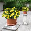 Artificial Impatiens Bunch UV Resistant Faux Flowers Low Maintenance Fake Impatiens Bouquet for Indoor Vase Planters Balcony Decorations