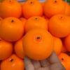 Quetschbare Orange Quetsch Fidget Spielzeug Kreativer Weicher Baustein Füllung Stressball Spielzeug ASMR Sensorisch Anti-Stress Spielzeug für Erwachsene