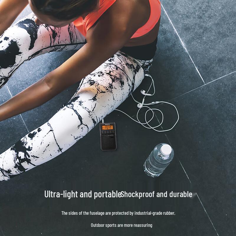 SANGEAN DT-800C Portable Digital Alarm Radio