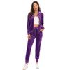 Velvet Velour Tracksuit Set Women Soft Stretch Lounge Zip Up Hoody and Jogger Pants Relaxed Sports Outfit