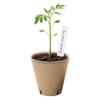 Ghivece de flori și coșuri – Containere pentru răsad