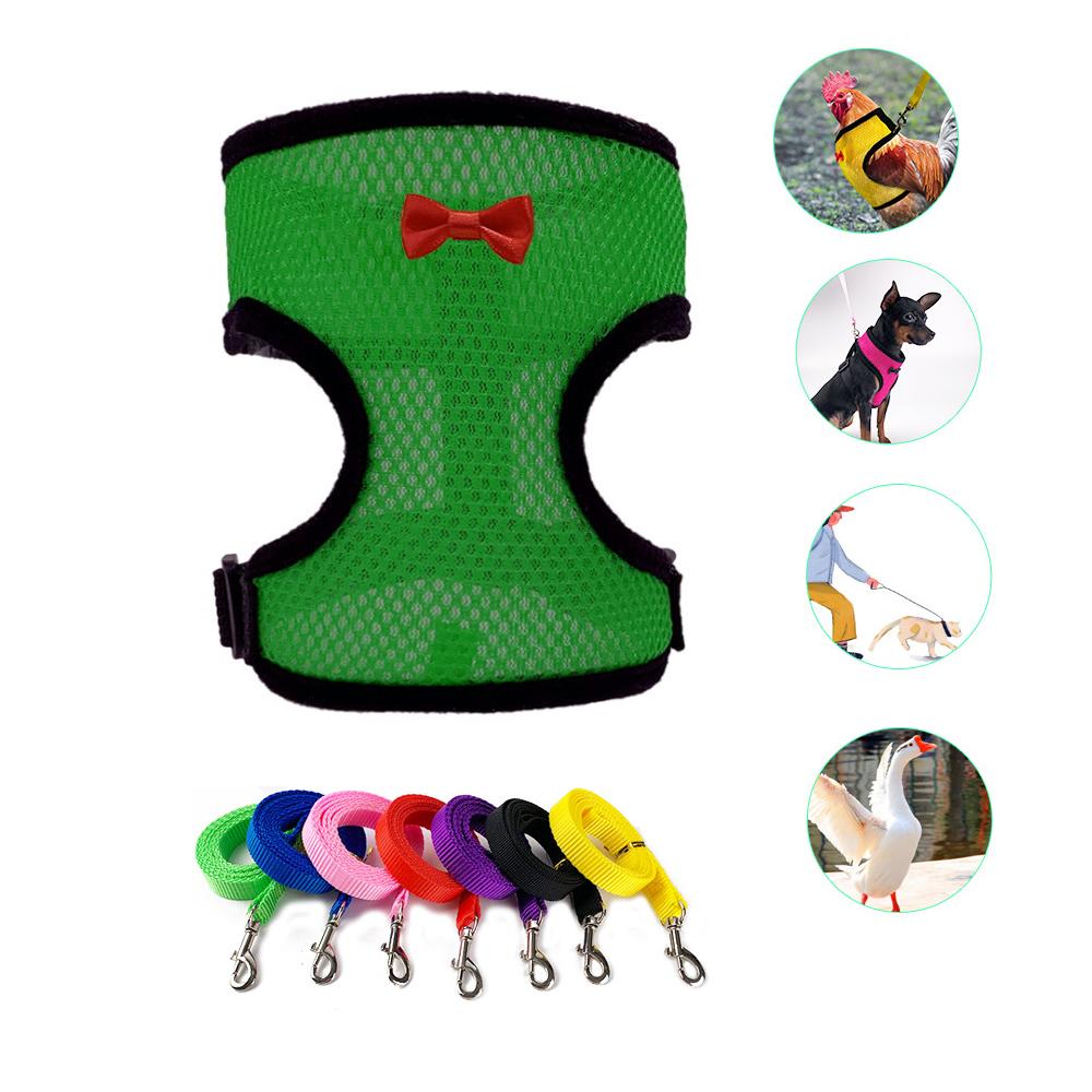 Nylon Duck Goose Poultry Supplies Hen Belt Chicken Vest Harness Pet Matching Collars Bow