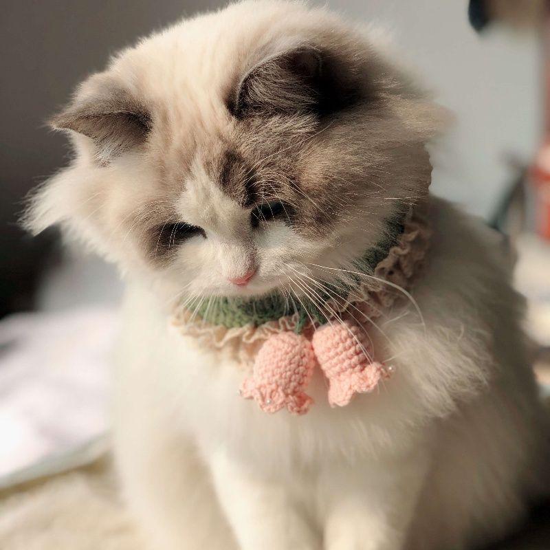 Japanese Style Cute Lily of the Valley Crochet Pet Collar Cowl - Anti-Pilling, Free Shipping XS
