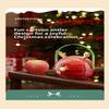 Creative Christmas Apple Box Christmas Eve Apple Handbag Elk Peace Fruit Box Christmas Gifts