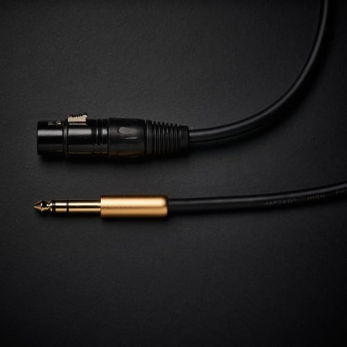 Klisjé 6,35 mm TRS til XLR Canon Konverteringskabel (2-pakning) 6,35 mm (1/4 tomme) Stereo hann til XLR hunn konverteringskabel (1m)