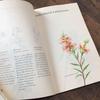 [USED] Plant encyclopedia, old German books, botanical art, junk journals