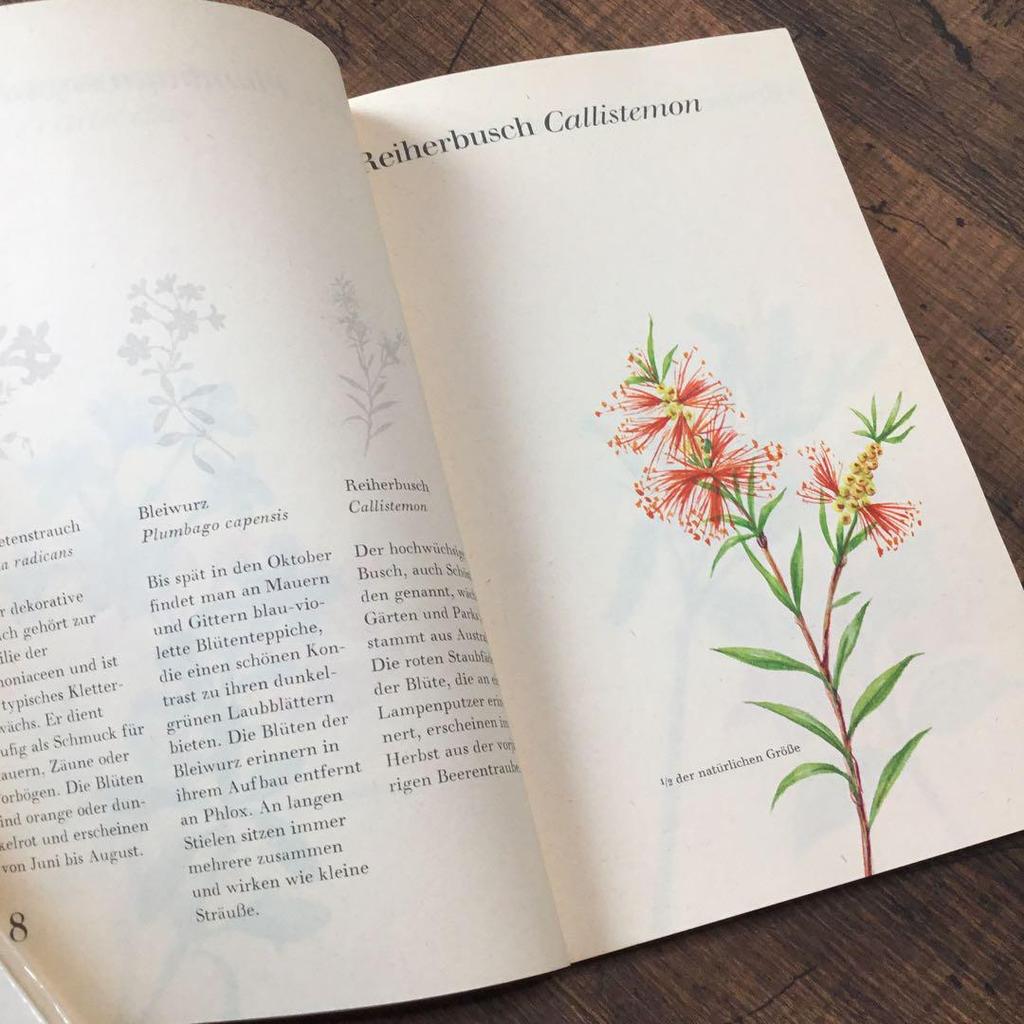 [USED] Plant encyclopedia, old German books, botanical art, junk journals