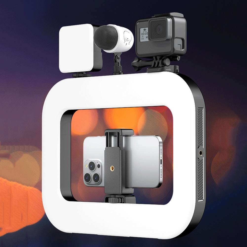 Smartphone Video Rig with Light Handheld Ring Selfie Light Kit for Camera Smartphone YouTube