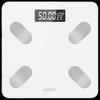Audimai WS-705 Smart Body Fat Scale (CN Version)