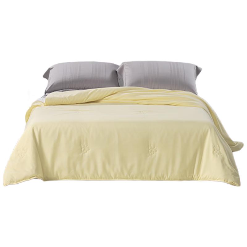 Mercury Home Textiles 100% Tussah Silk All-Season Washable Quilt
