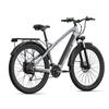 JOOBIKE JOO2 Adult Electric Bike 1000W Motor 48V 16AH Built-in Battery Oil Brake 29" Fat Tire E-Bike Suitable For Urban Mountain Areas