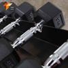 Tagong A-Frame Dumbbell Rack