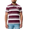 canterbury Men's Engineered Striped Polo Shirt